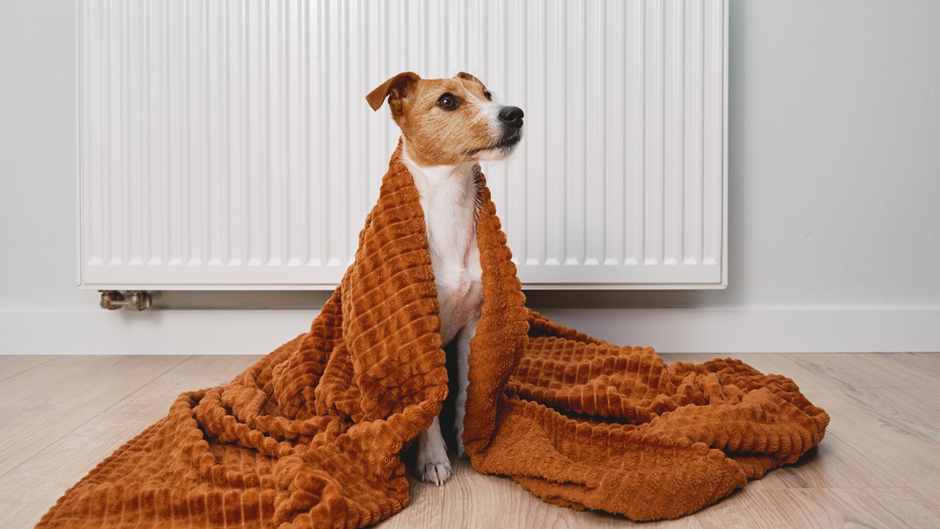 'Leave heating on low all day' v 'Use when needed' debate settled | Money newsletter