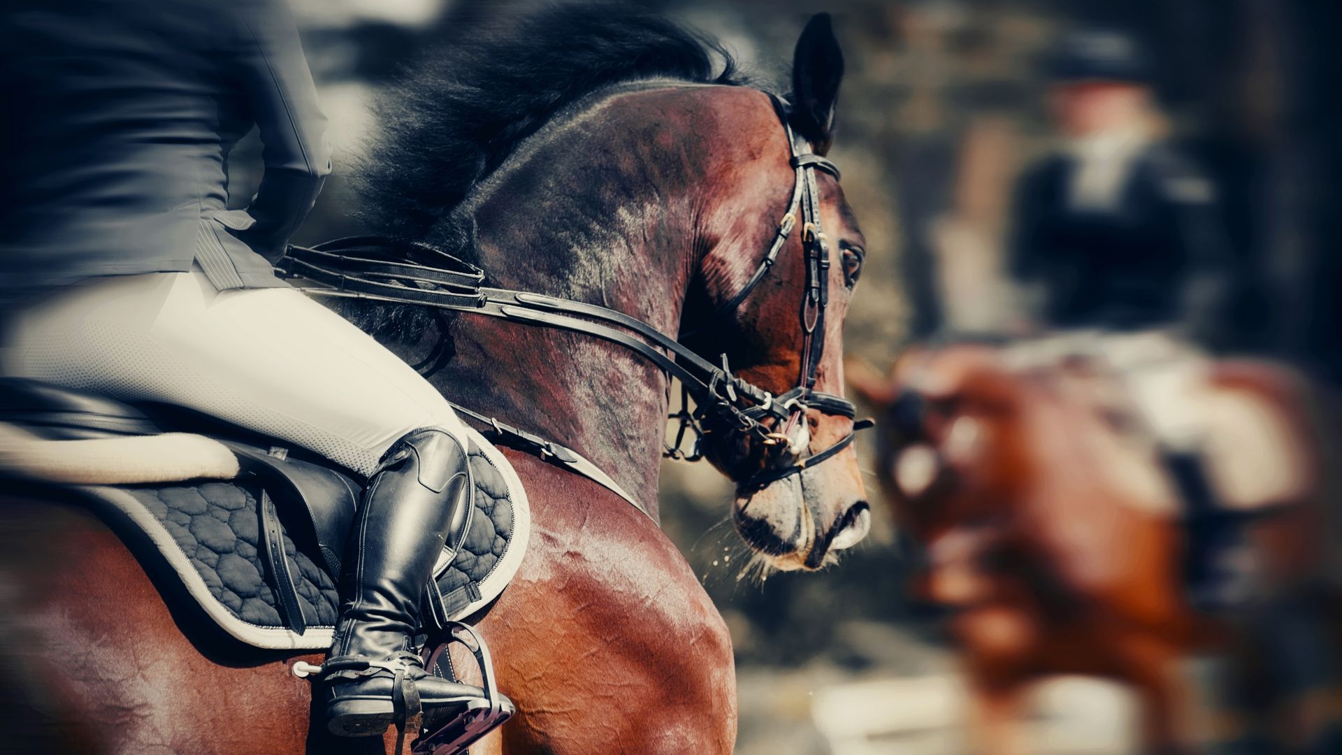 CVC-backed Global Sport Group adds to stable with $300m Equine Network deal