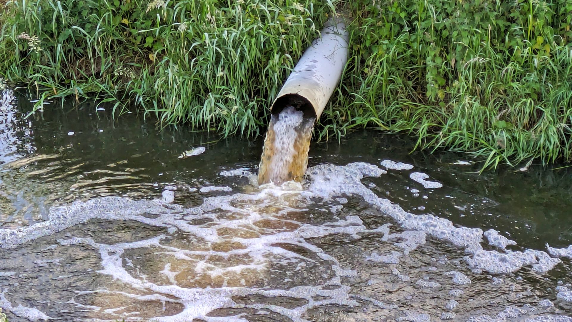 Serious water pollution incidents in England up 60% last year - with three companies blamed for most
