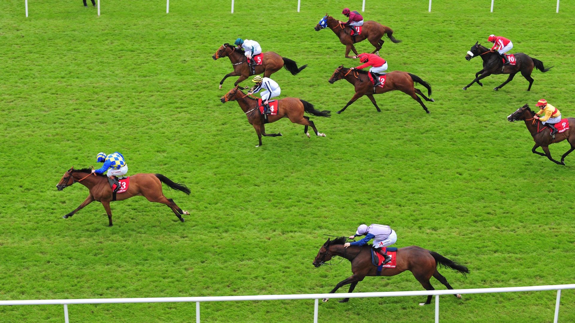 The Tote gallops towards shake-up with appointment of Hong Kong Jockey Club steward