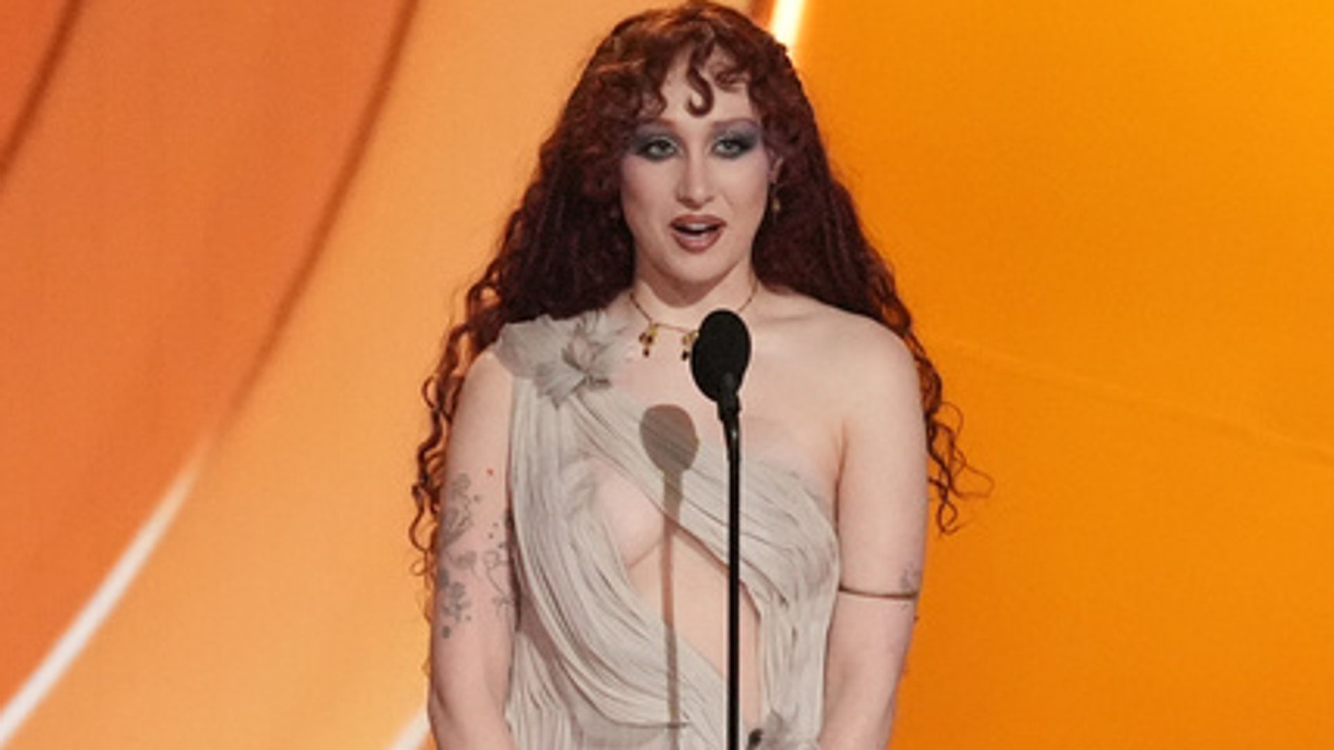 US singer leaves talent agency after Epstein files revelations