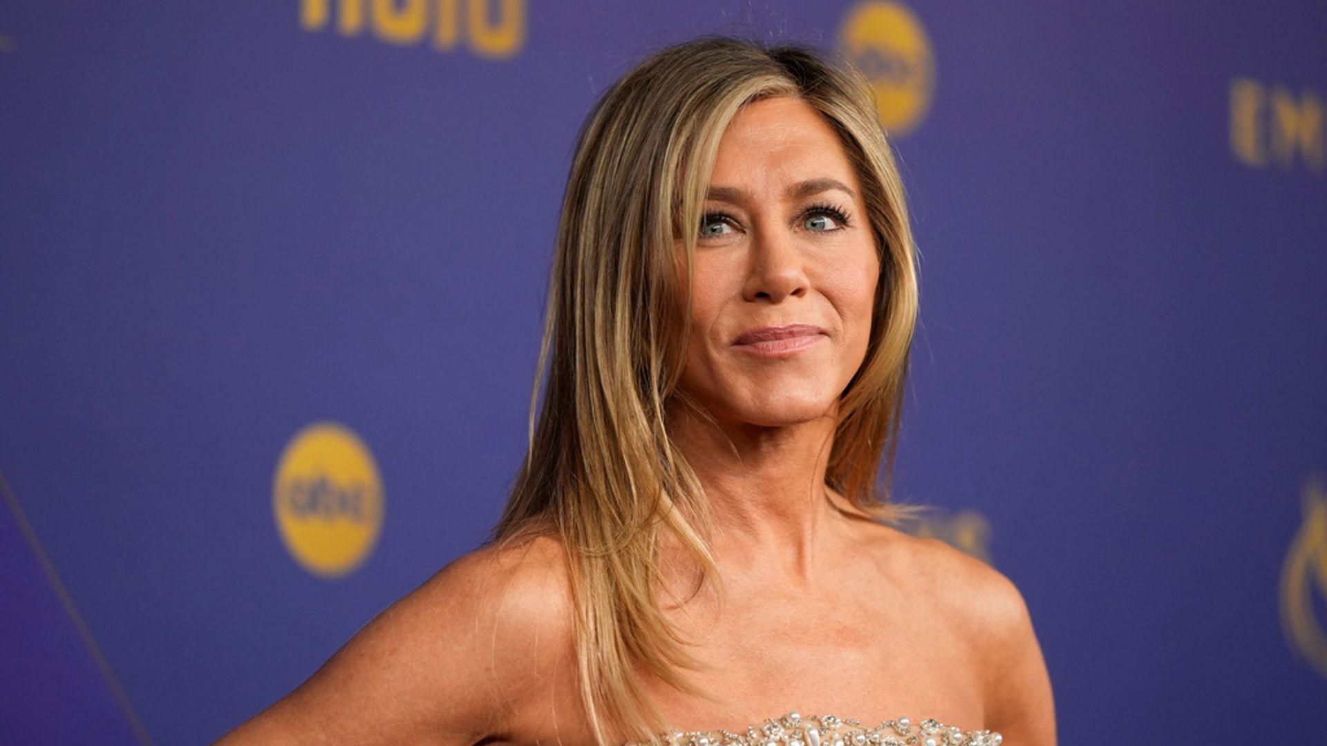 Jennifer Aniston gate-crashing suspect charged with stalking her