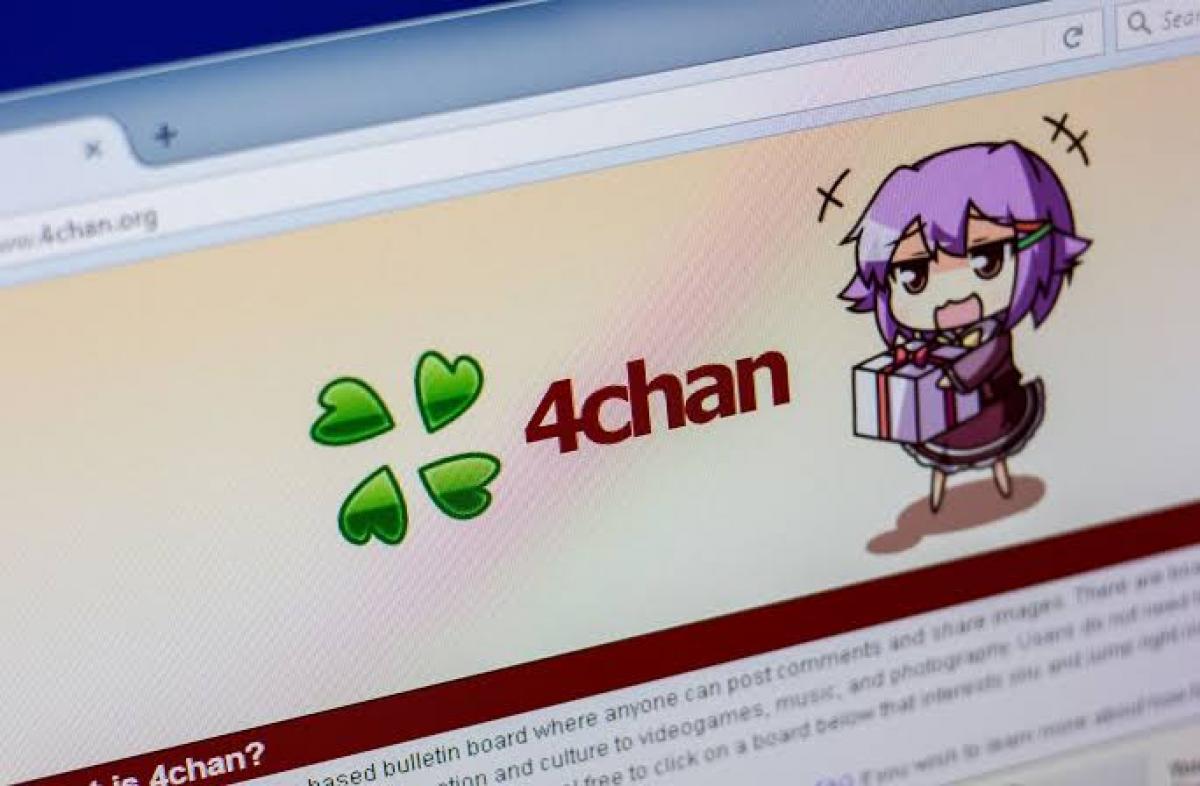 My Brother Convinced Me to Post on 4chan’s /pol/ About Trans Women—It Was Absolute Chaos
