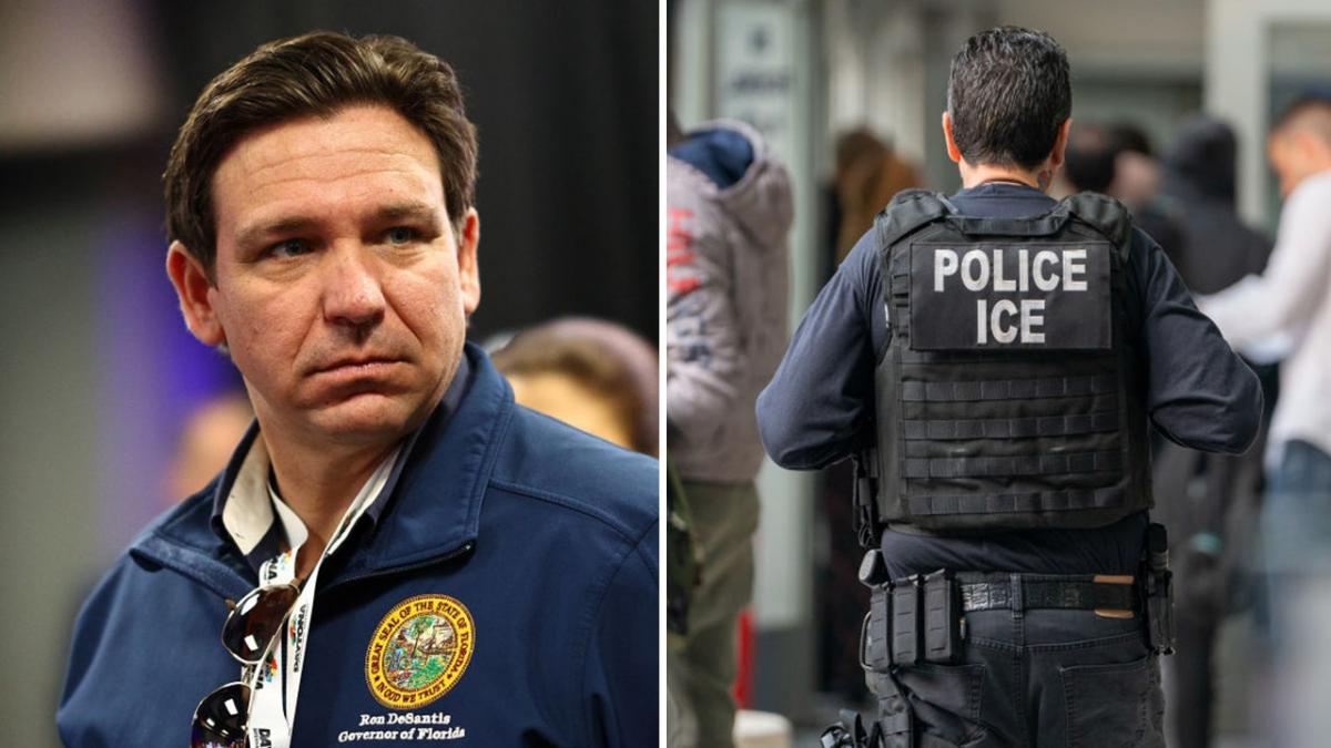 DeSantis calls on patriotic Floridians to fight back against ICE