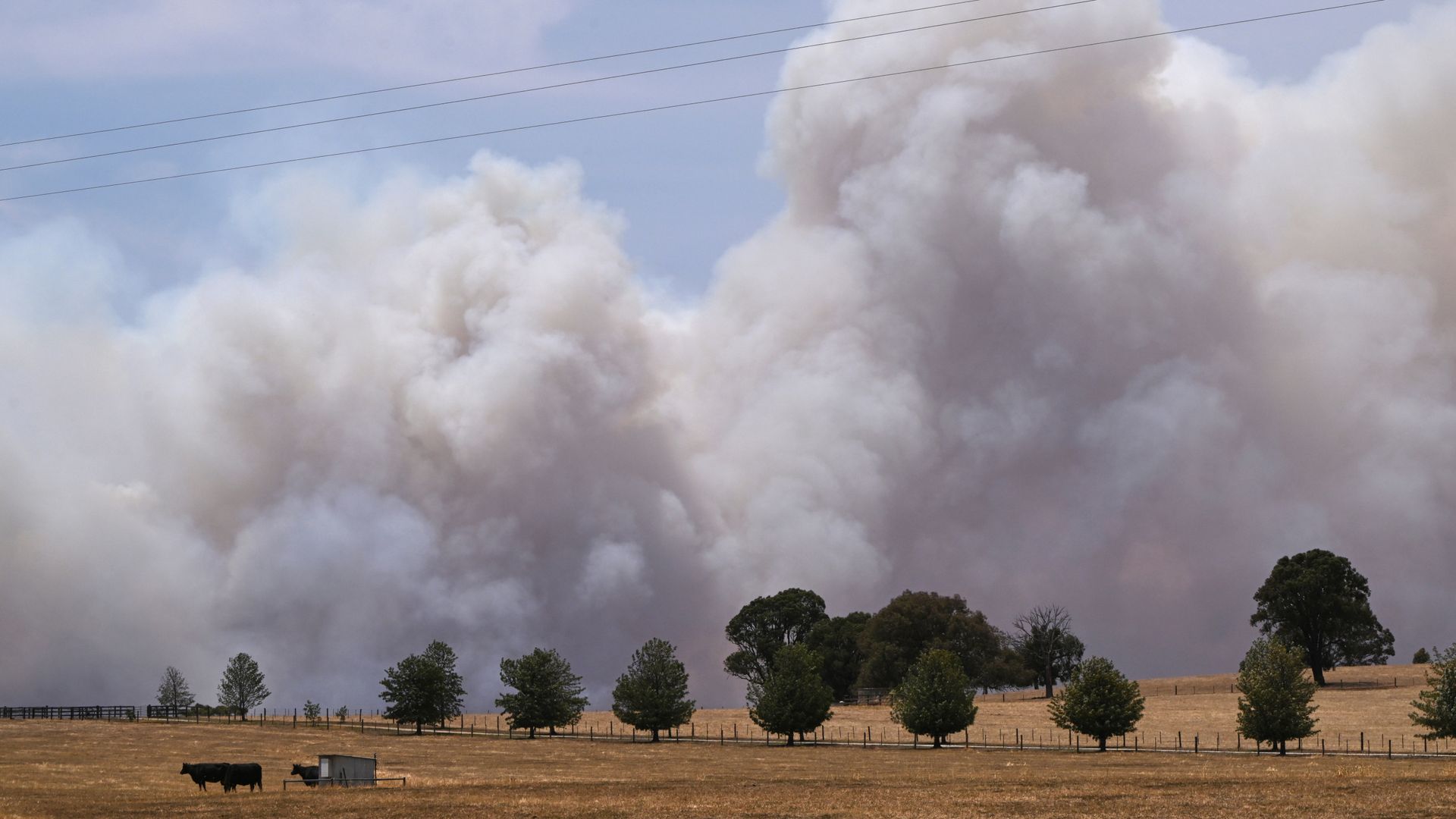 'State of disaster' declared as Australia battles bushfires during extreme heatwave