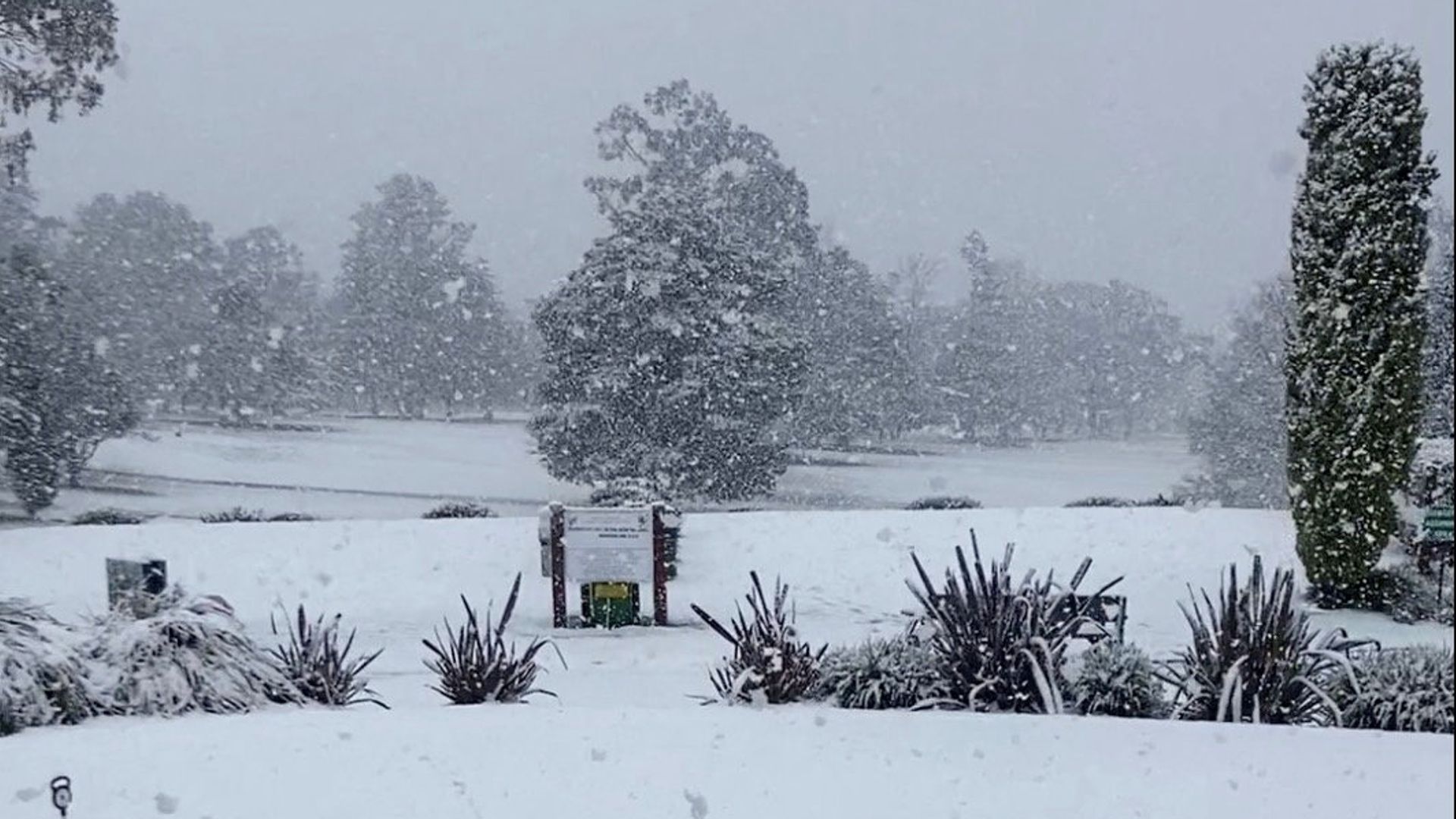 'Unusual' snow, rain and thunderstorms sweep across eastern Australia