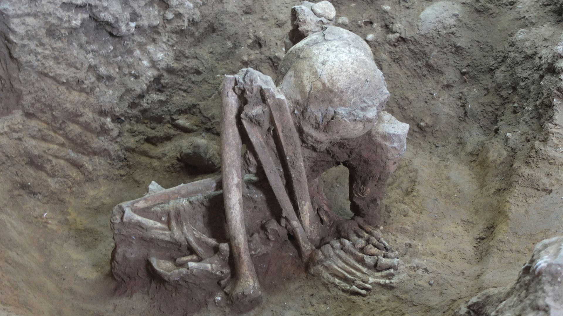 Mummies found in southeast Asia could be world's oldest, scientists say