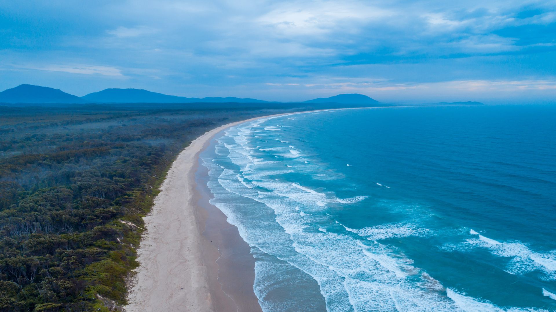 Woman killed and man injured in shark attack at popular beach
