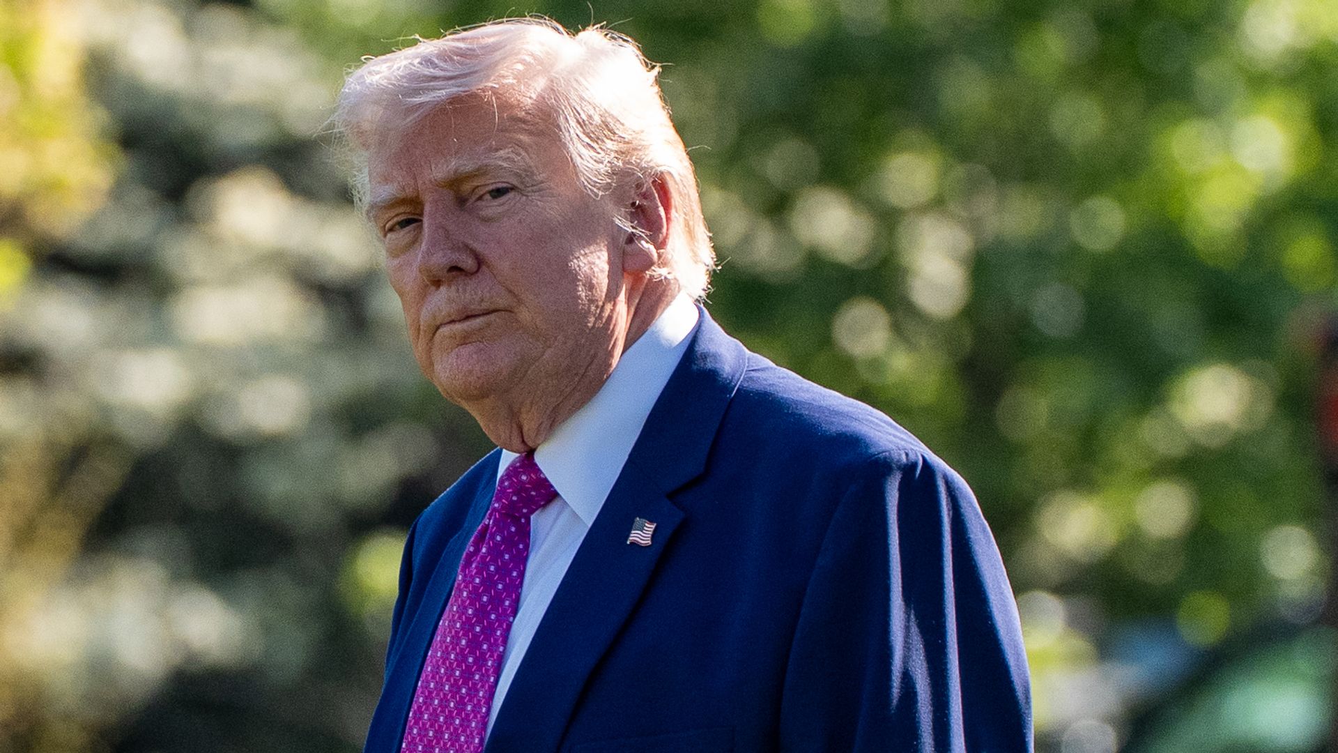 Trump's NATO comments 'not wise', says Dutch armed forces chief