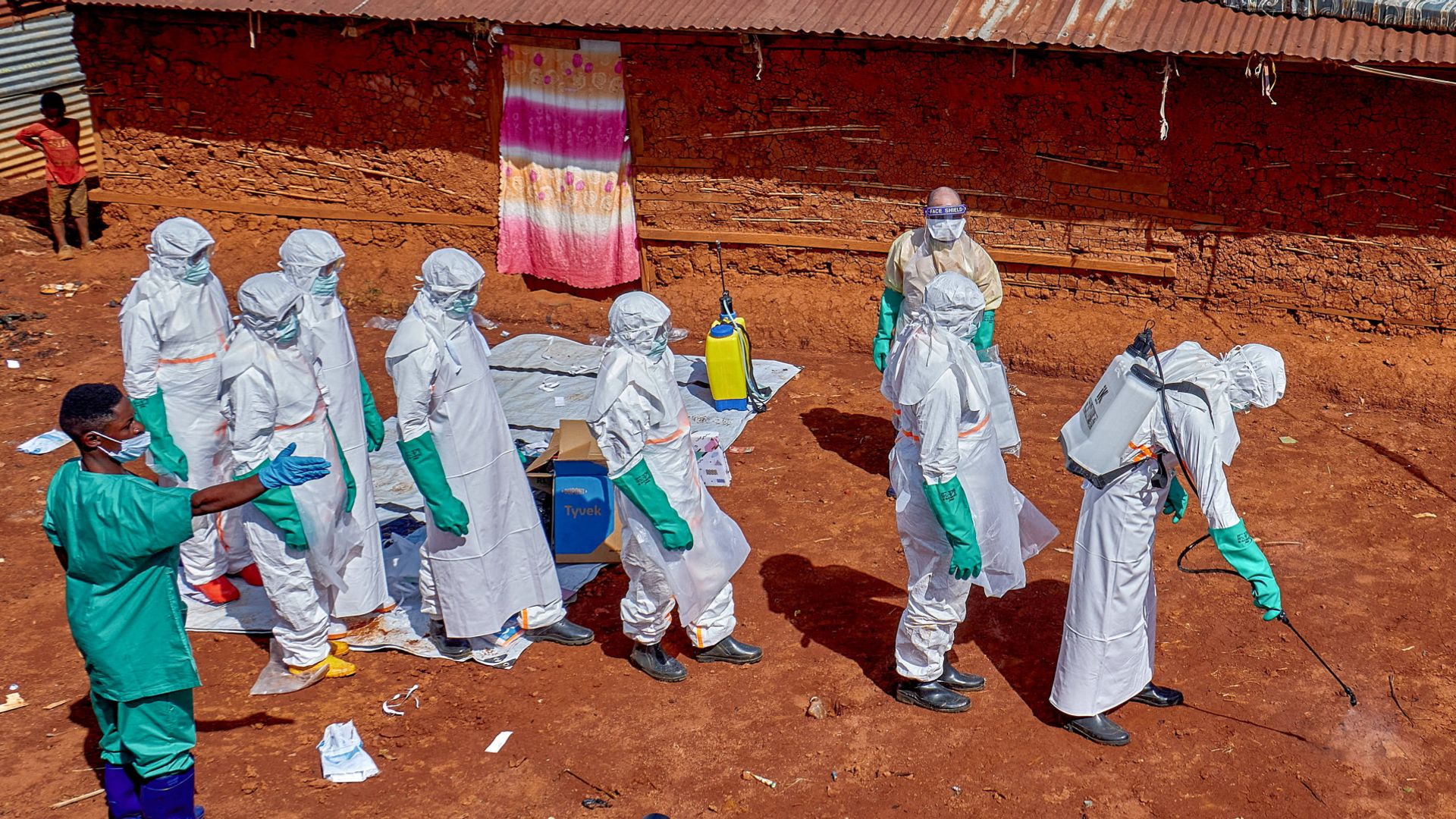 Five recover from Ebola - as Brazil investigates two suspected cases
