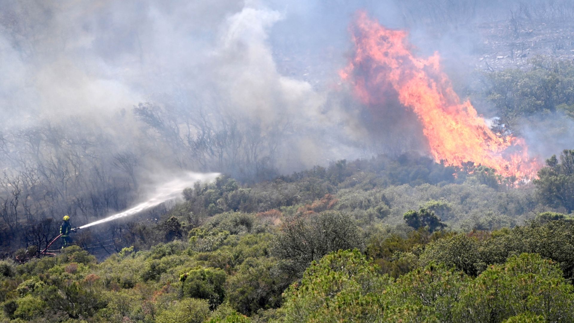 At least 13 people injured as mayor warns wildfire is 'at the gates' of Marseille