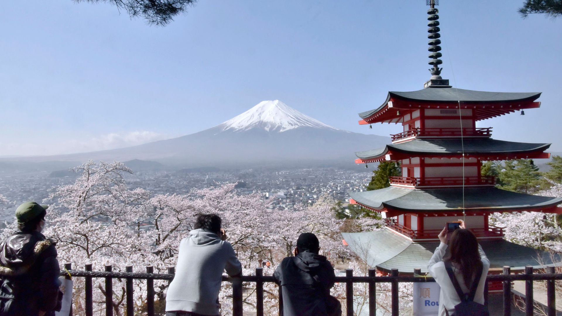 Japanese city cancels festival launched to lure tourists - because of this stunning view