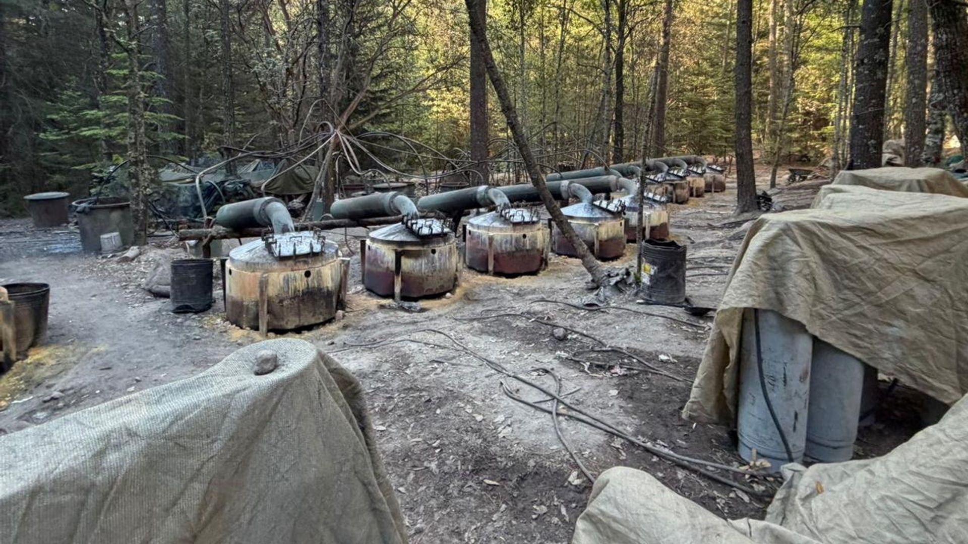 The deadly drug raid fuelling speculation about what the US is doing in Mexico