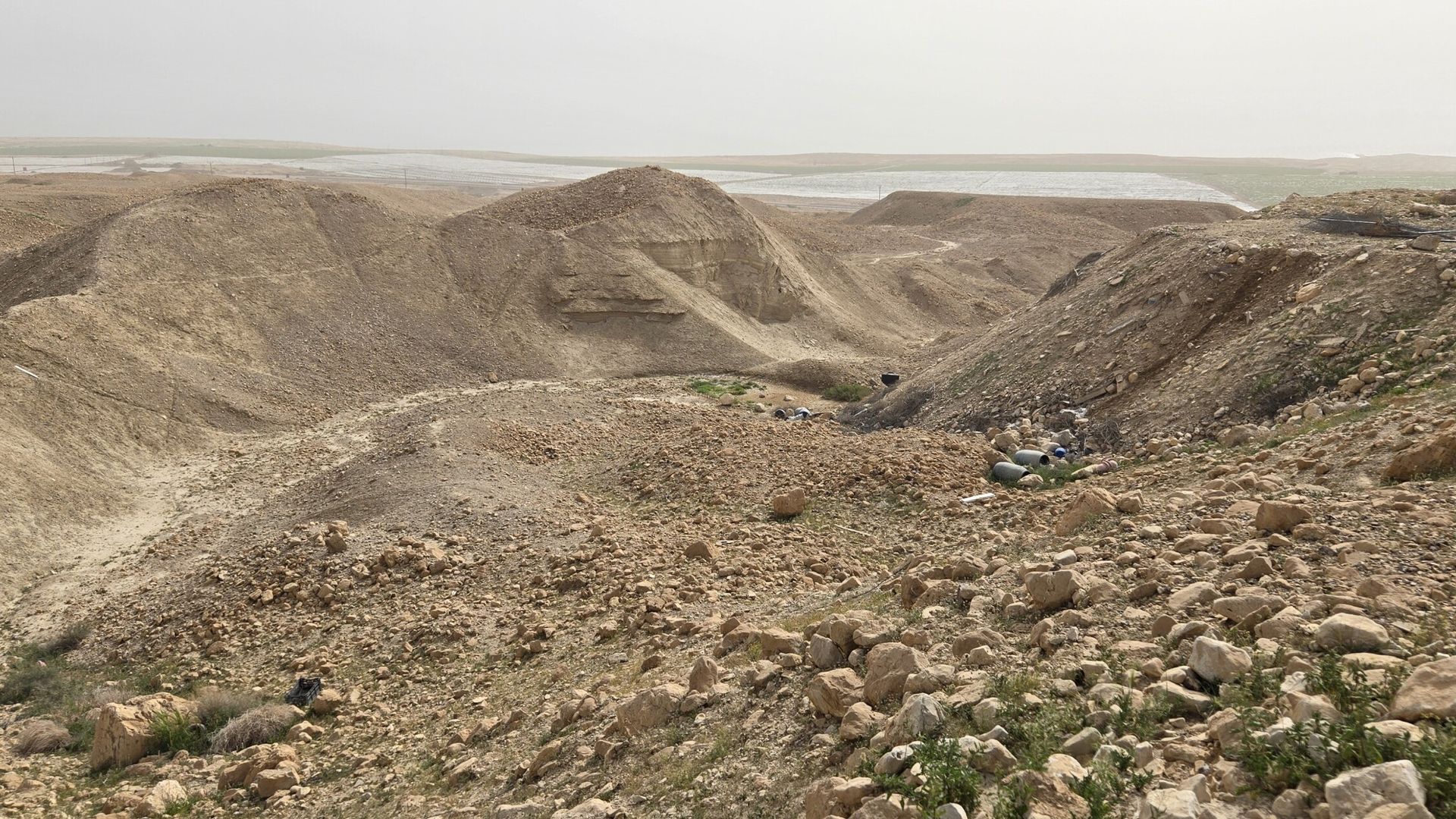 Superdrug removes skincare brand amid concerns over Israeli settlement products