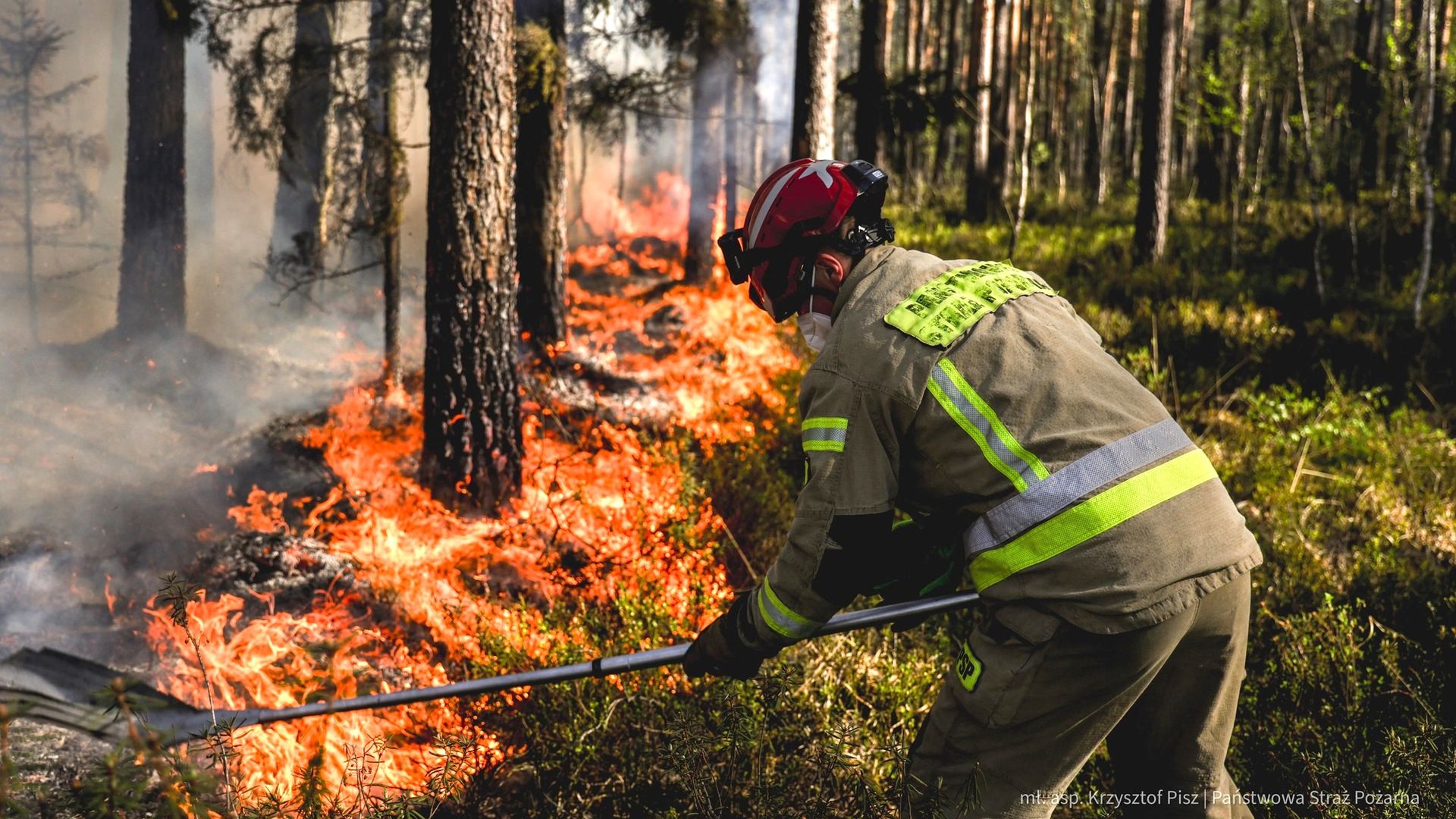 Pilot dies after firefighting ‌plane tackling major forest blaze crashes