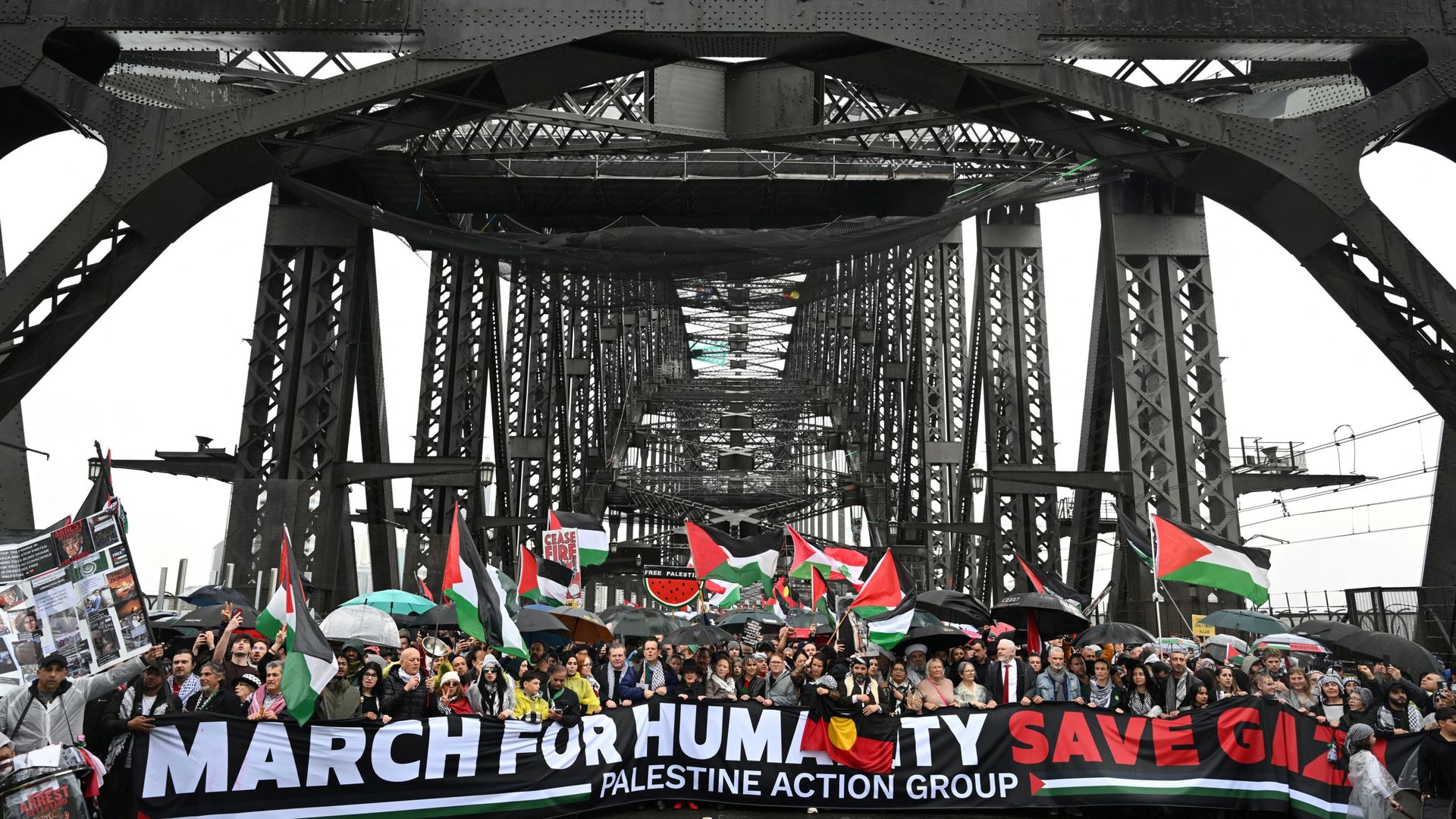 Sydney Harbour Bridge pro-Palestine protest so busy it was 'perilous', police chief says