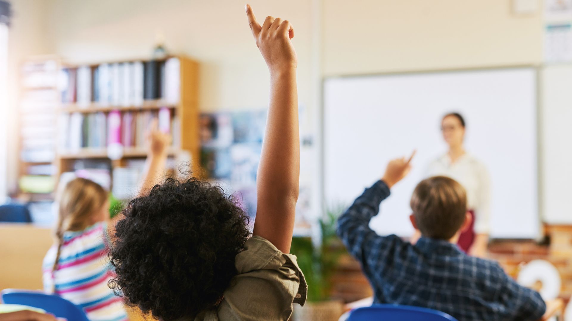 Nearly 70 schools to close in Australia over fears of asbestos in play sand