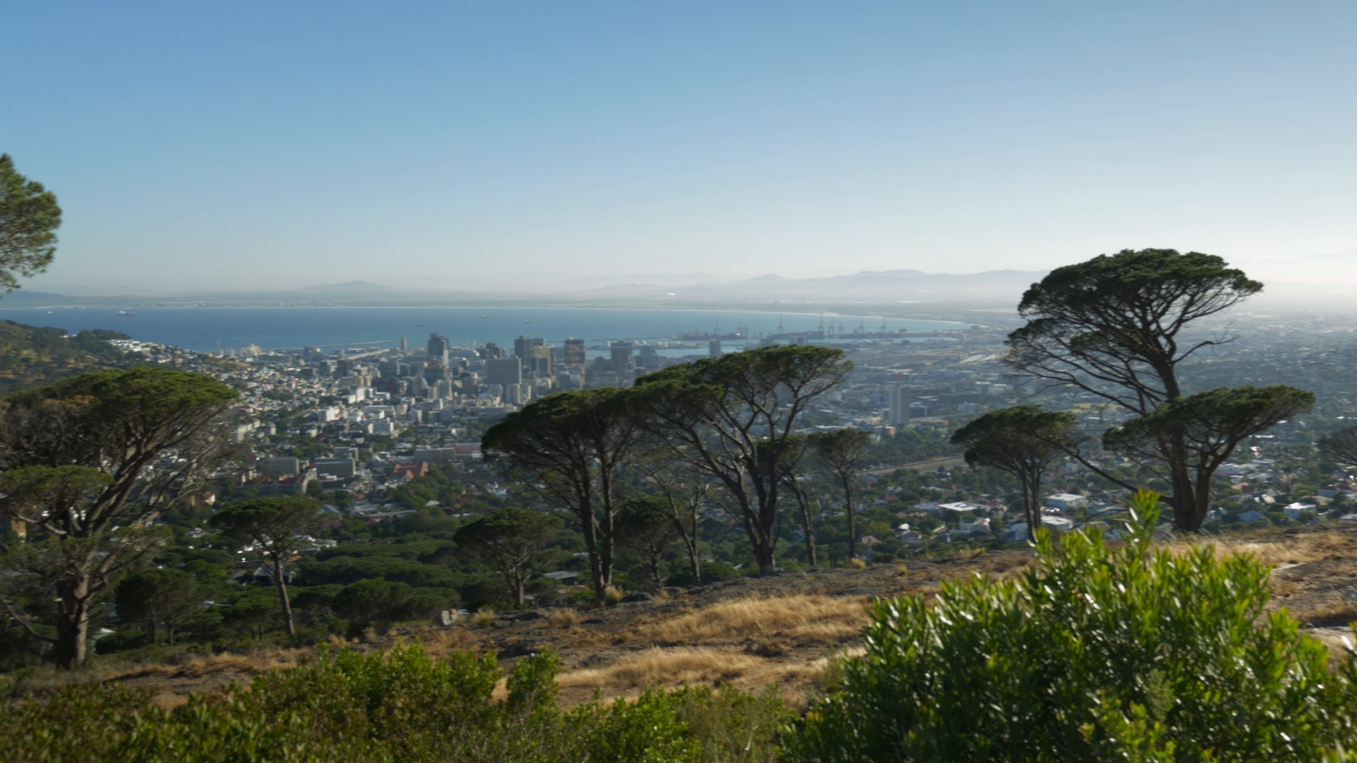 'Disingenuous thread' of the G20 - the communities shut out of South Africa's summit