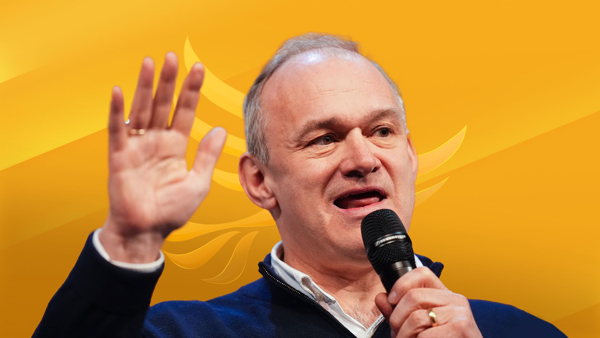 Can the Lib Dem tortoise outrun the populist hare?