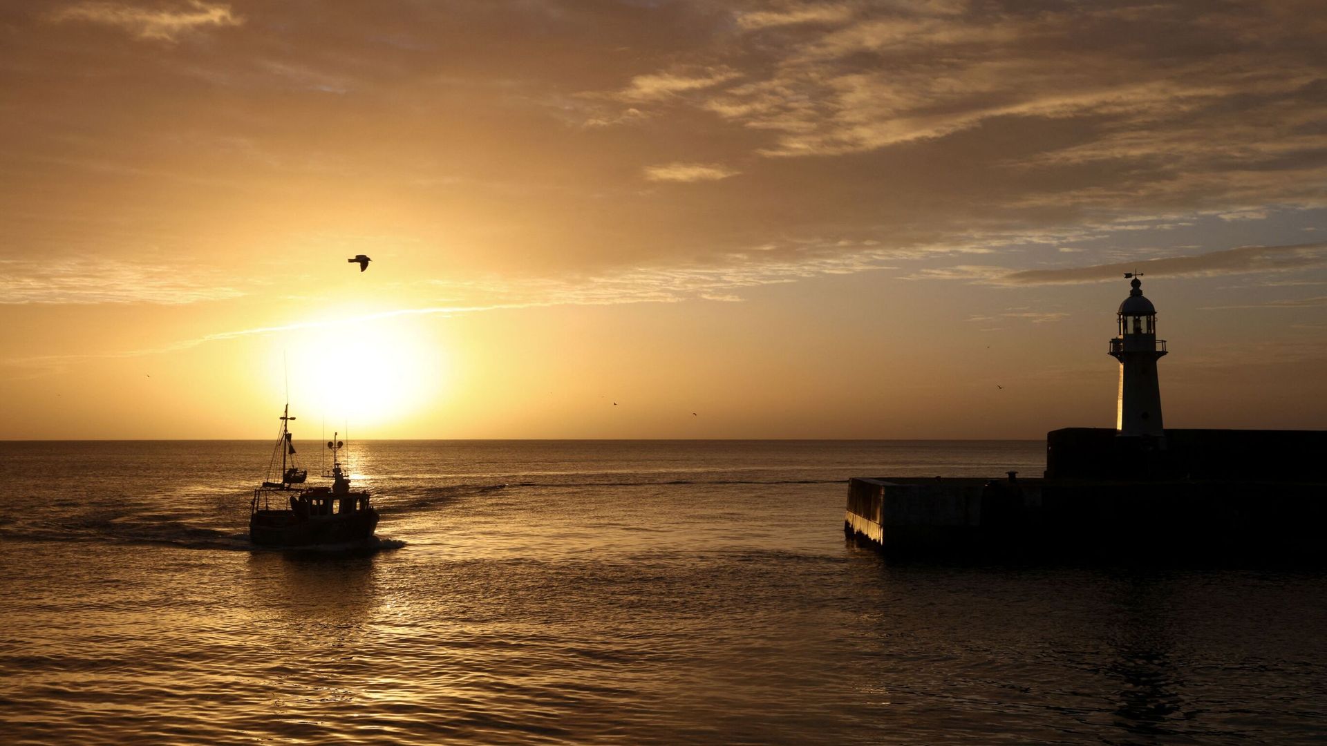 Warning key fish stocks 'teetering on the brink of collapse' - amid analysis on overfishing