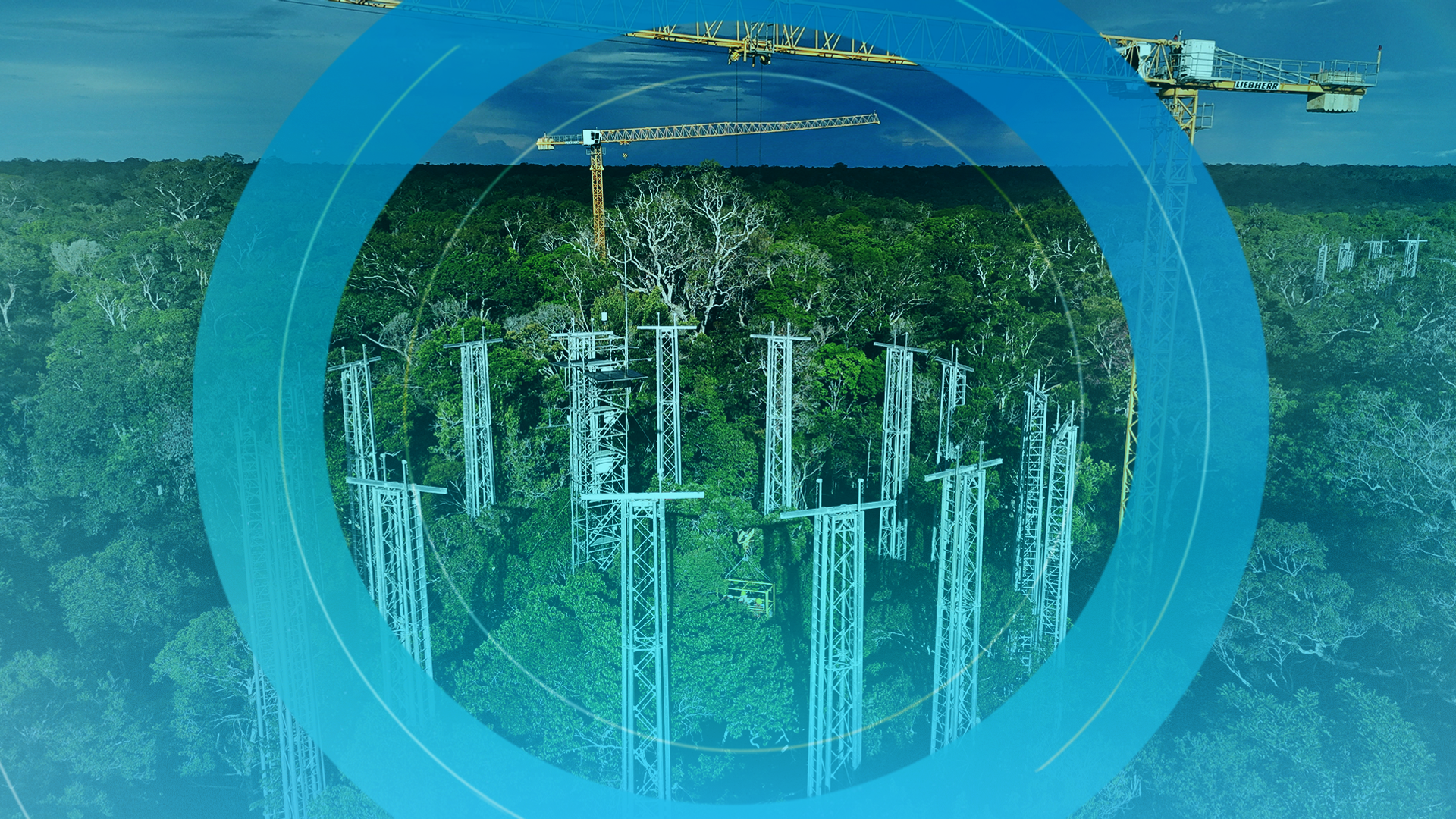 Your ultimate guide to COP30: Why is it so controversial and who's attending?