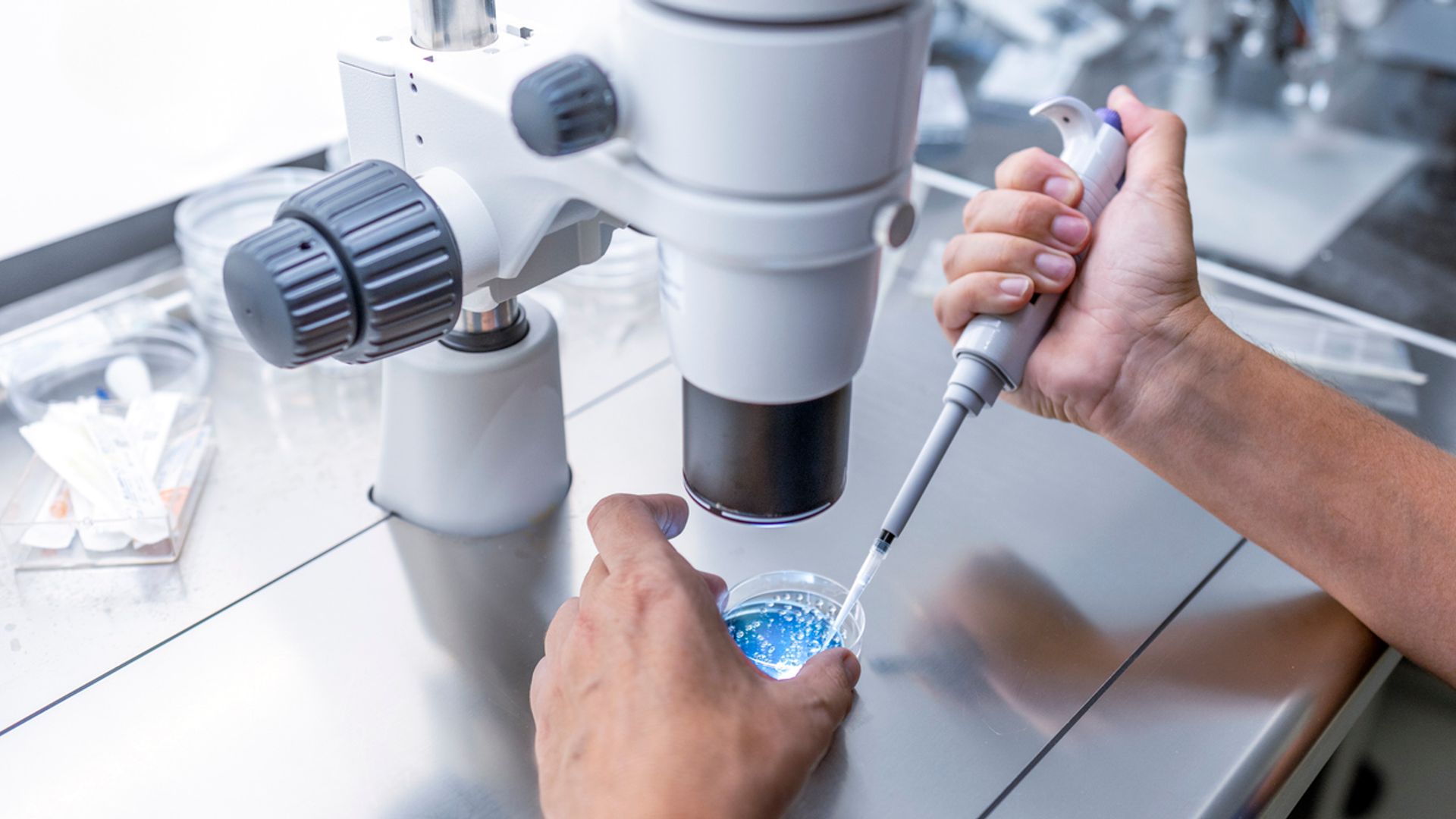 Eggs fertilised with material from human skin cells for first time