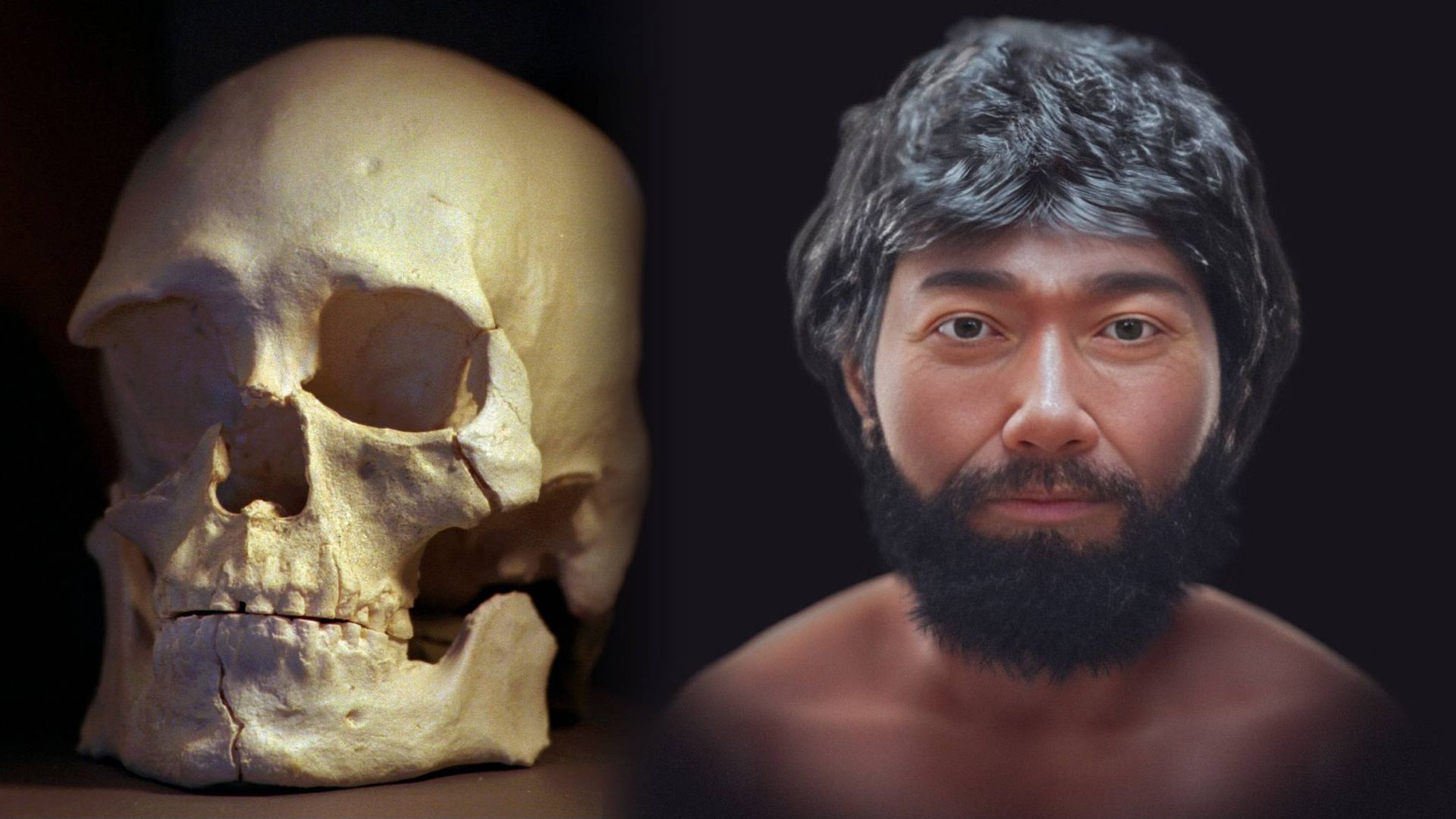 Meet the Kennewick Man: Face of 'most important' ancient American revealed after 8,500 years