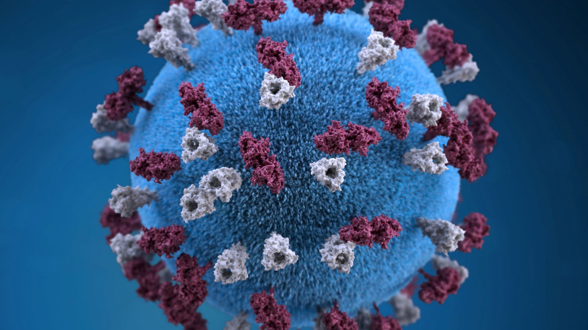 Child vaccination rates the lowest in more than a decade - why?