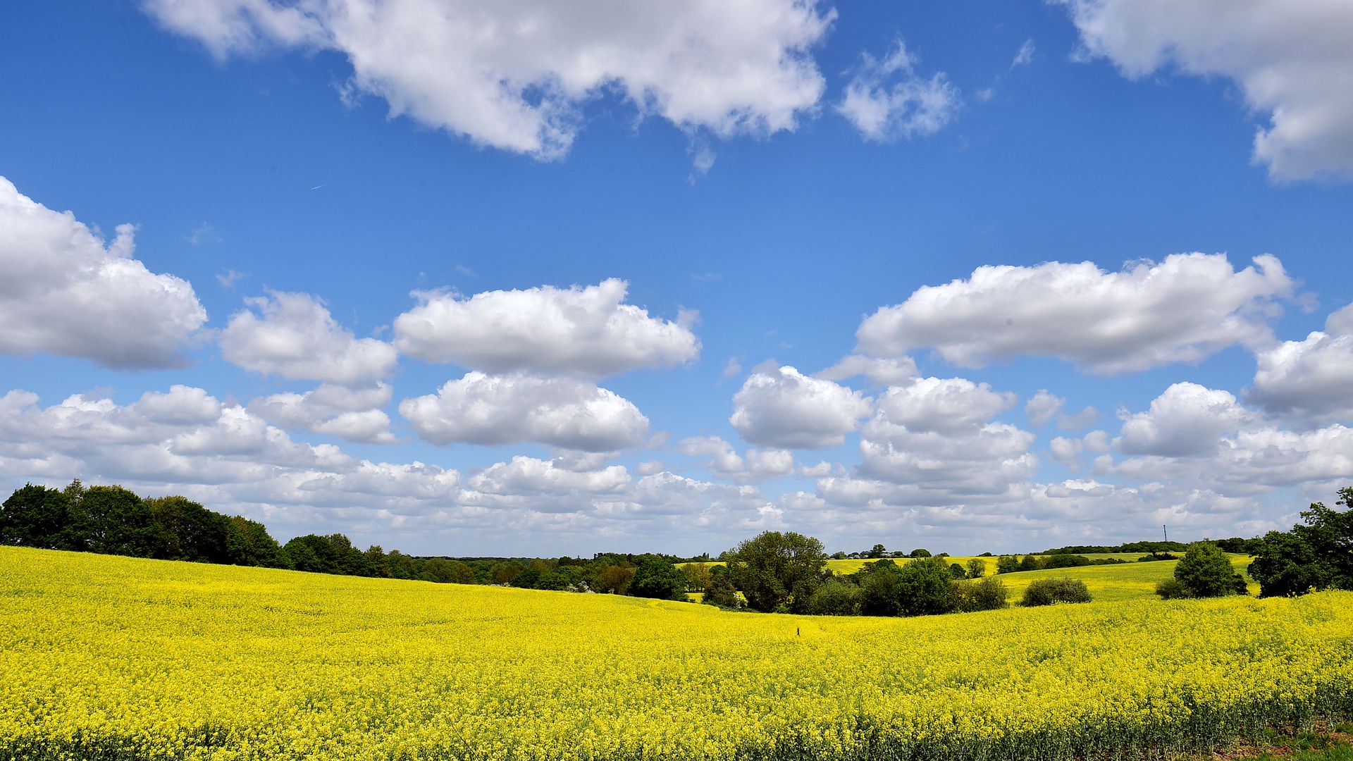 Farmers lose more than &#163;800m after hottest spring and summer on record, study finds