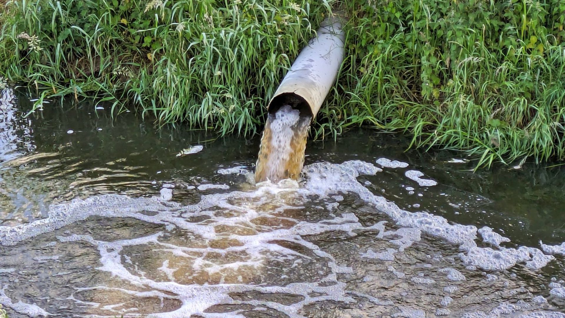 English water firms get lowest environmental rating since records began